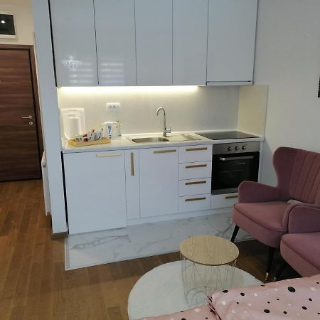 Apartament Spring Deluxe Nowy Sad Zewnętrze zdjęcie