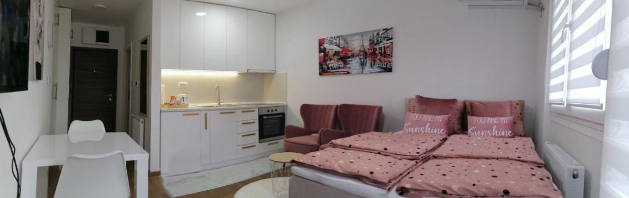 Apartament Spring Deluxe Nowy Sad Zewnętrze zdjęcie
